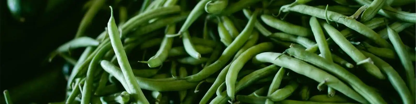 TVB女神胡定欣突现孕肚?闪婚男友不足一年,甜蜜背后藏惊人喜讯!