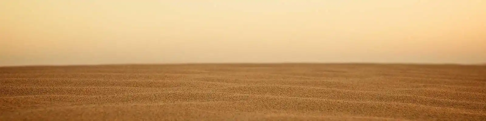 海哈金喜首露面引热议,无心一句话引爆网络舆情