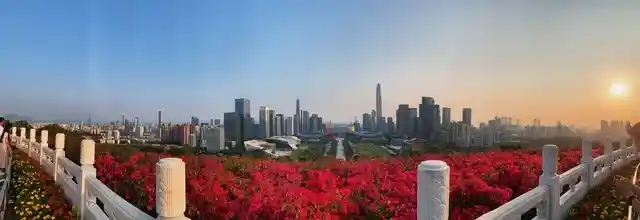 广东100+宝藏景点曝光!pick你的专属旅行清单