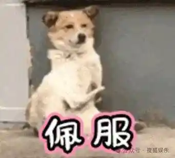 隐婚生子?这对情侣选择用宝宝官宣爱情