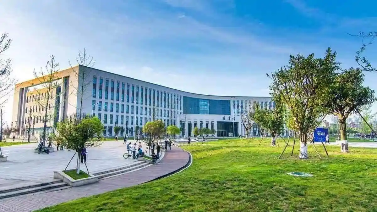 从专科到本科再到大学:一场跨越地域与学历的逆袭之路