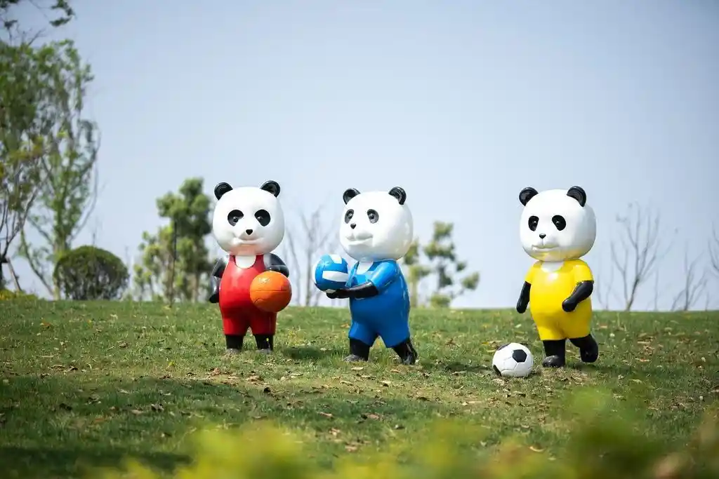 从专科到本科再到大学:一场跨越地域与学历的逆袭之路