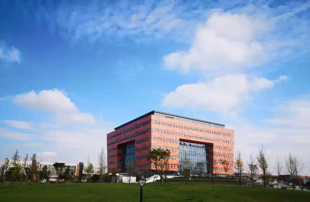 从专科到本科再到大学:一场跨越地域与学历的逆袭之路