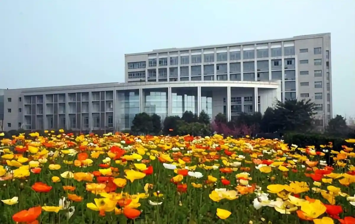 从专科到本科再到大学:一场跨越地域与学历的逆袭之路