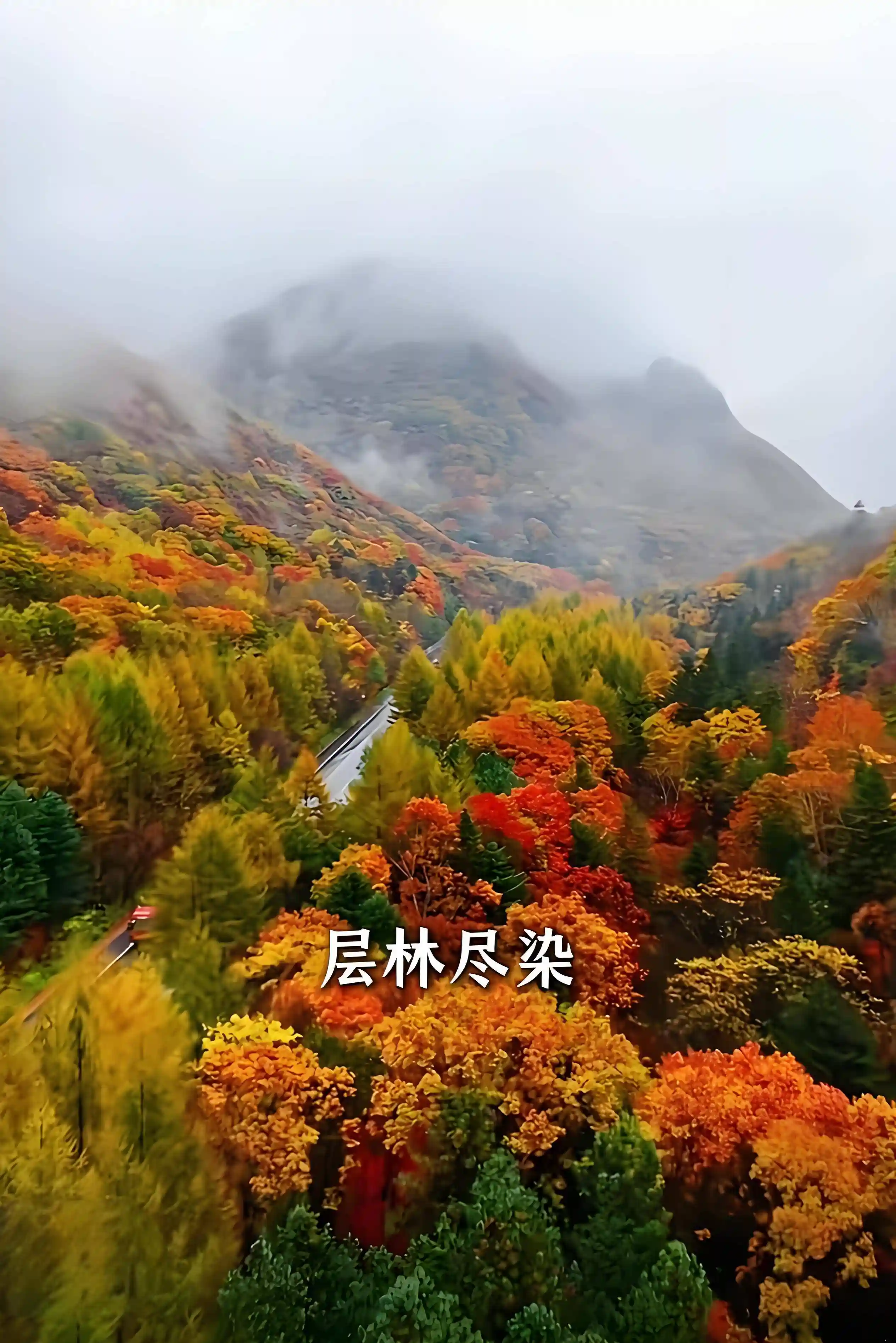 蒙曼探秘长白山,网友惊呼:越来越像张译,嫁不出去?