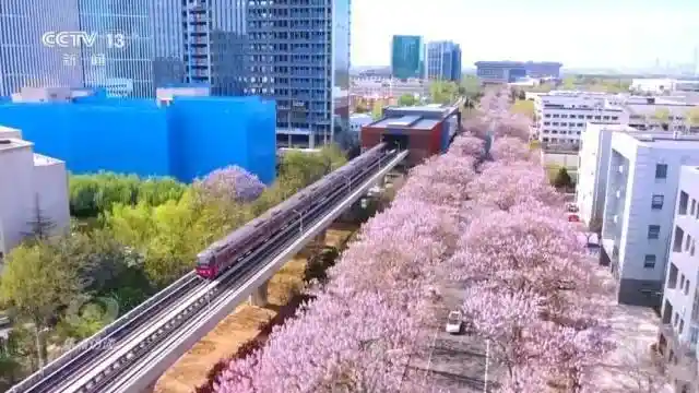 口袋公园焕新城市肌理,深圳探索公园+激发社区活力