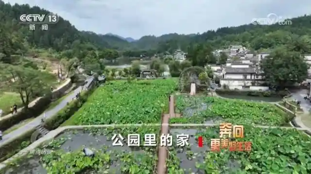 口袋公园焕新城市肌理,深圳探索公园+激发社区活力