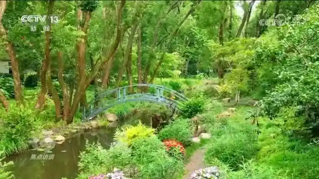 口袋公园焕新城市肌理,深圳探索公园+激发社区活力