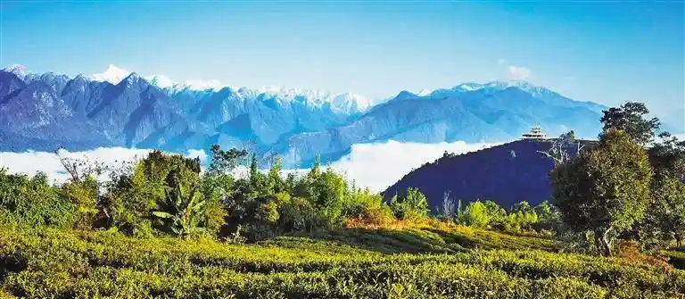 秘境绽放：墨脱旅游新纪元启航