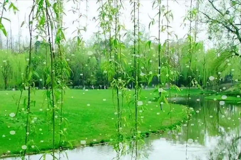 柳絮纷飞处,11首诗词写尽人间情思与飘零之美