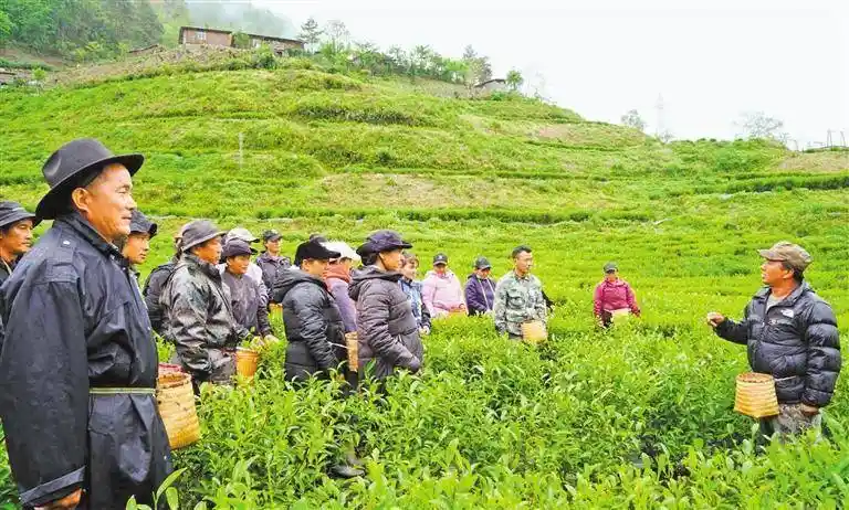 秘境绽放：墨脱旅游新纪元启幕