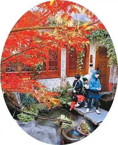 小空间迸发大能量:民宿成文旅融合新引擎