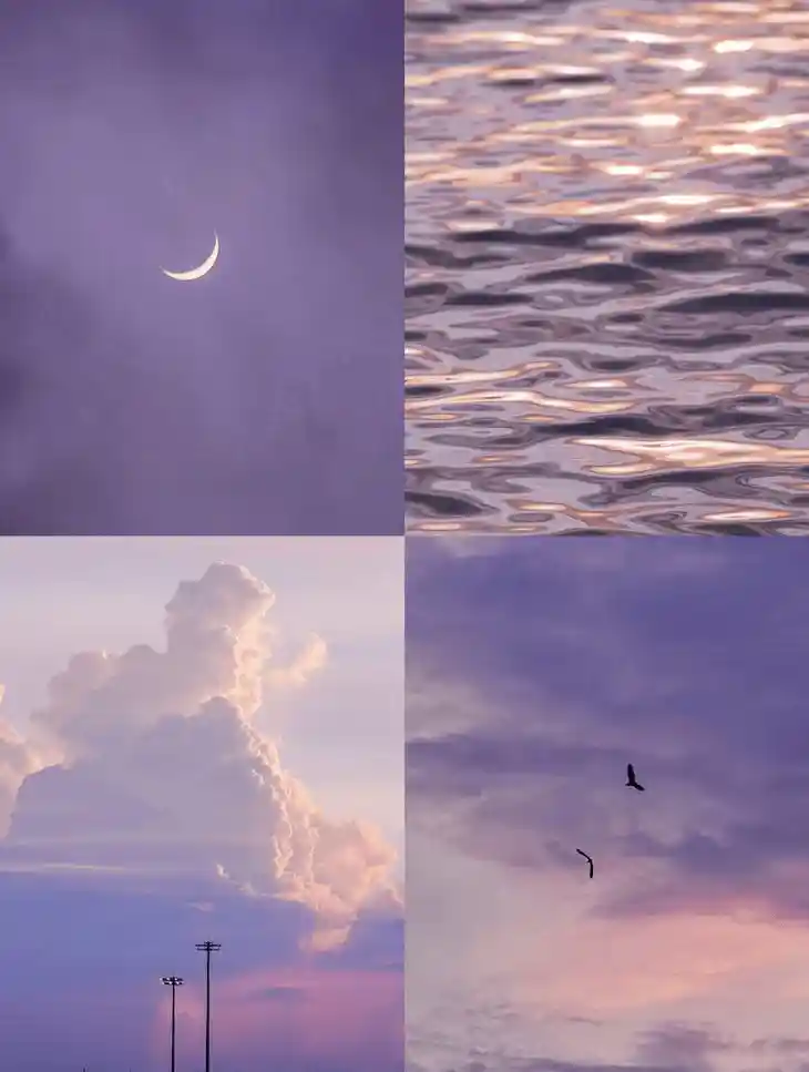 刘诗诗穿紫毛衣+阔腿裤惊艳亮相！兔毛羊毛混搭温柔暴击，大降温后时尚圈炸了