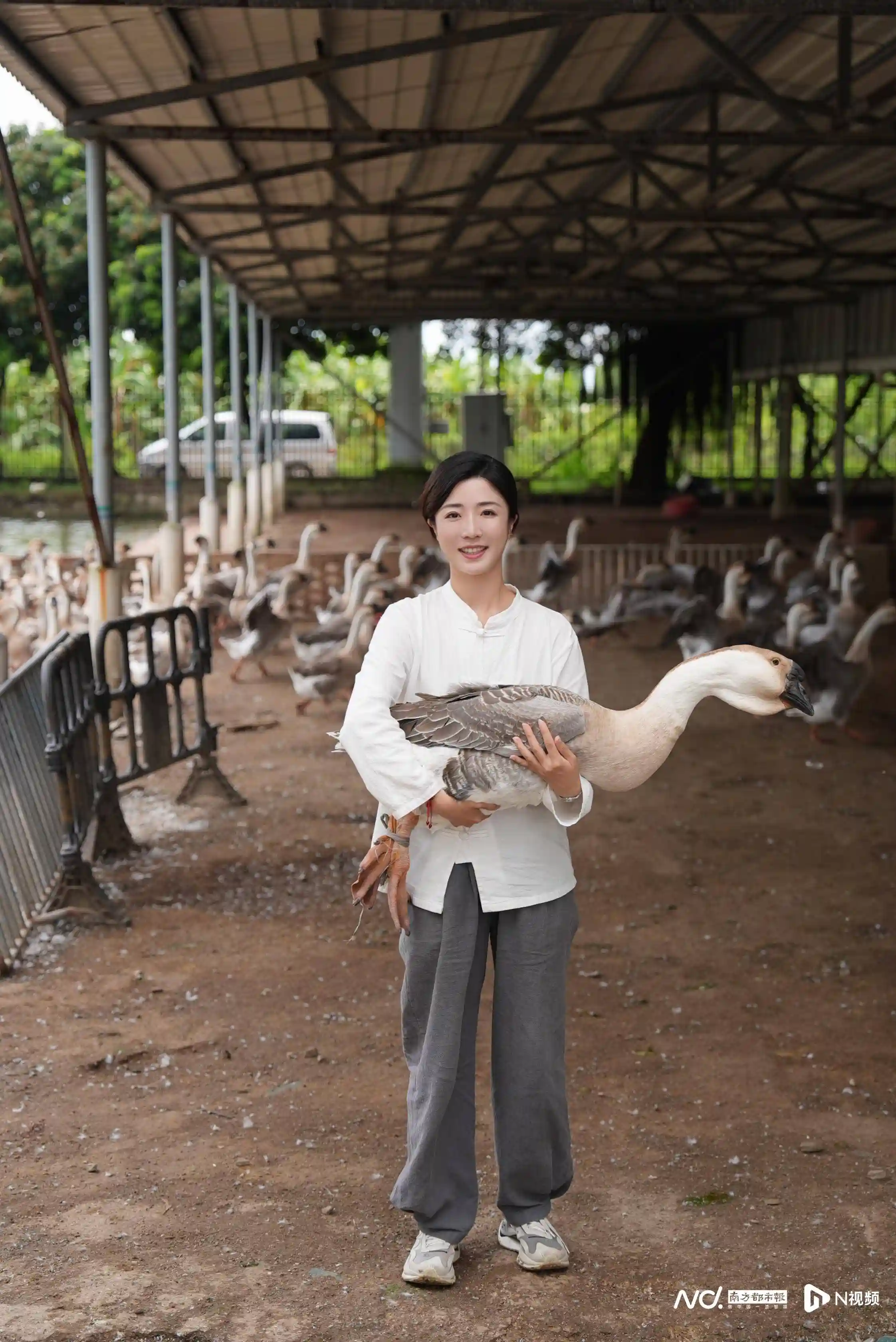 英歌震山海,李行踏岭南!记者变身农文旅顶流博主,带你沉浸式‘云游广东’