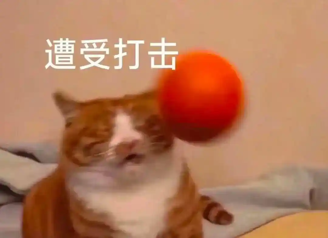 爆款预警!CK德绒无痕暖冬背心引爆社交平台:免Bra设计+买一送一,女性抢购潮席卷全国