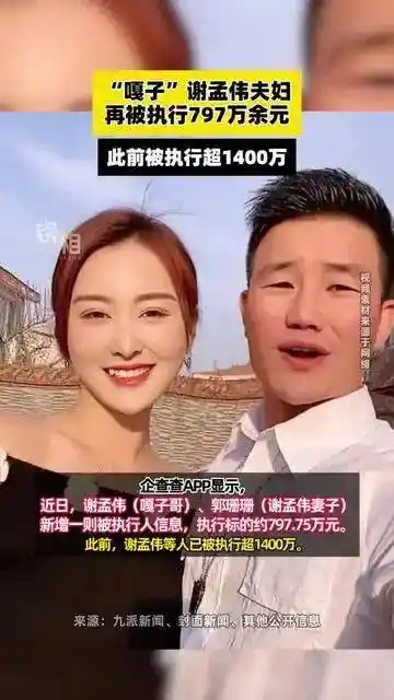 嘎子谢孟伟夫妇再陷千万执行风波!童年英雄梦碎成热搜焦点