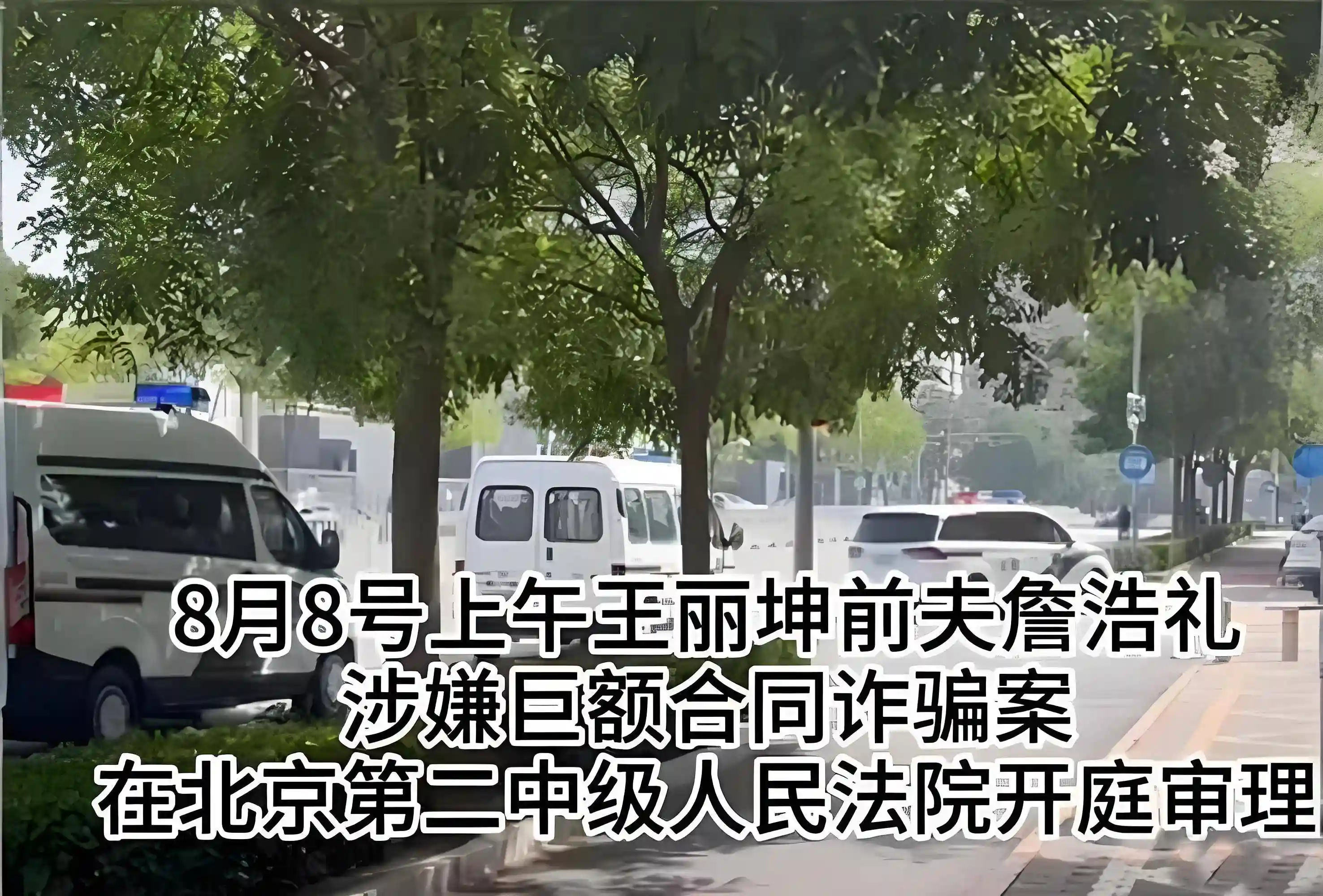 王丽坤陷诈骗风波:前夫成最大受害者?网友热议豪门婚姻的代价