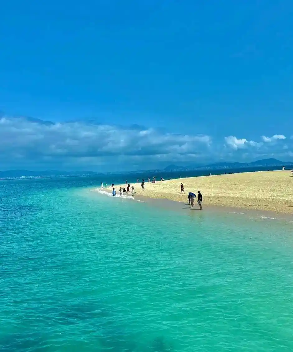 银发族新宠：两大轻松游方式，吃喝玩乐全包揽