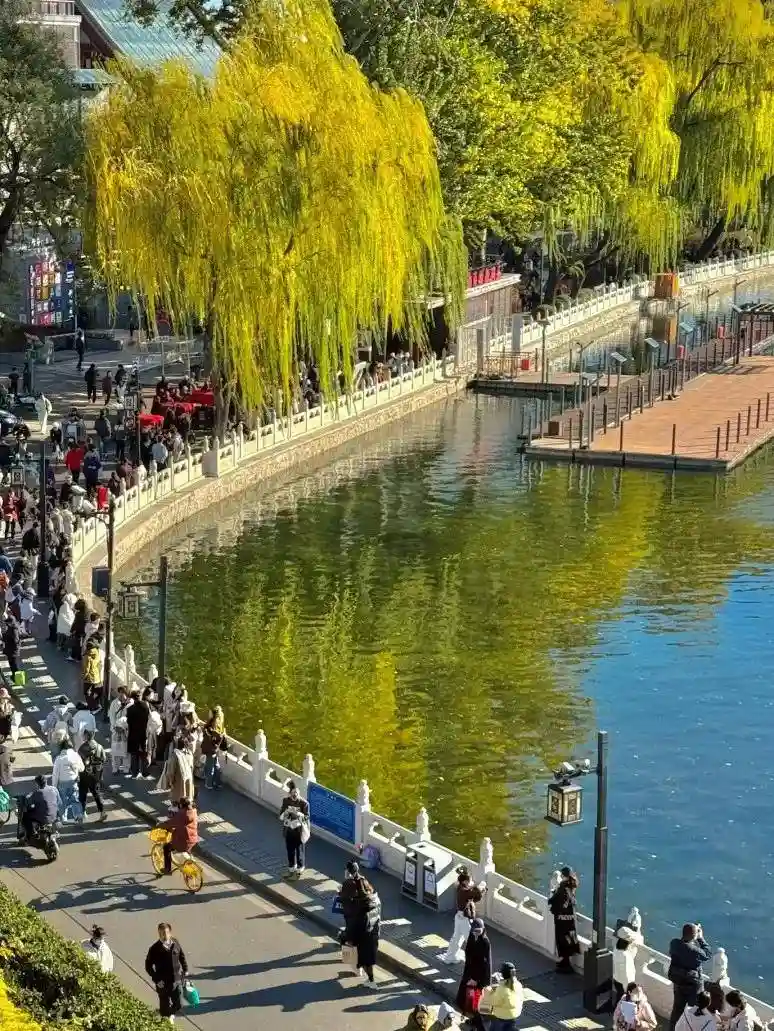 银发族新宠：两大轻松游方式，吃喝玩乐全包揽