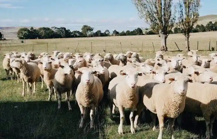 白百何慵懒文艺范穿搭曝光！灰毛衣配牛仔裤秒杀全场