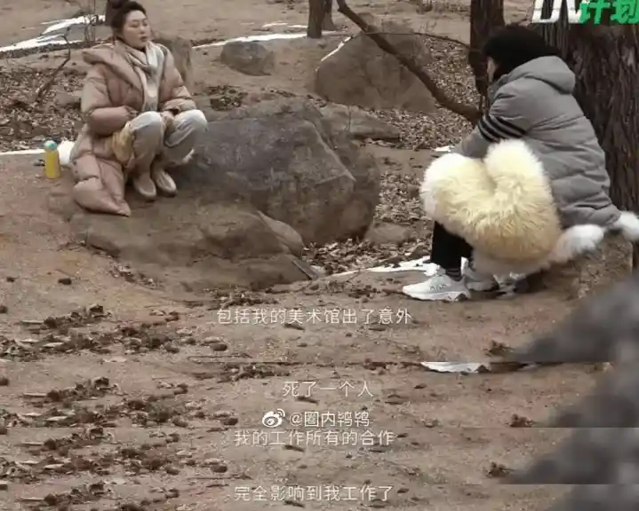 2025年,晚晚夫妇人上人人设再掀热议:林瀚与网友的微博博弈