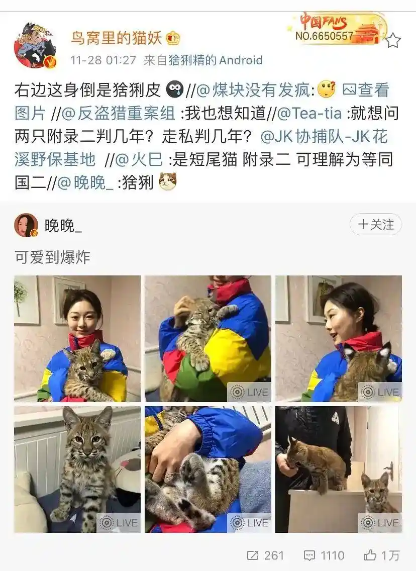 2025年,晚晚夫妇人上人人设再掀热议:林瀚与网友的微博博弈