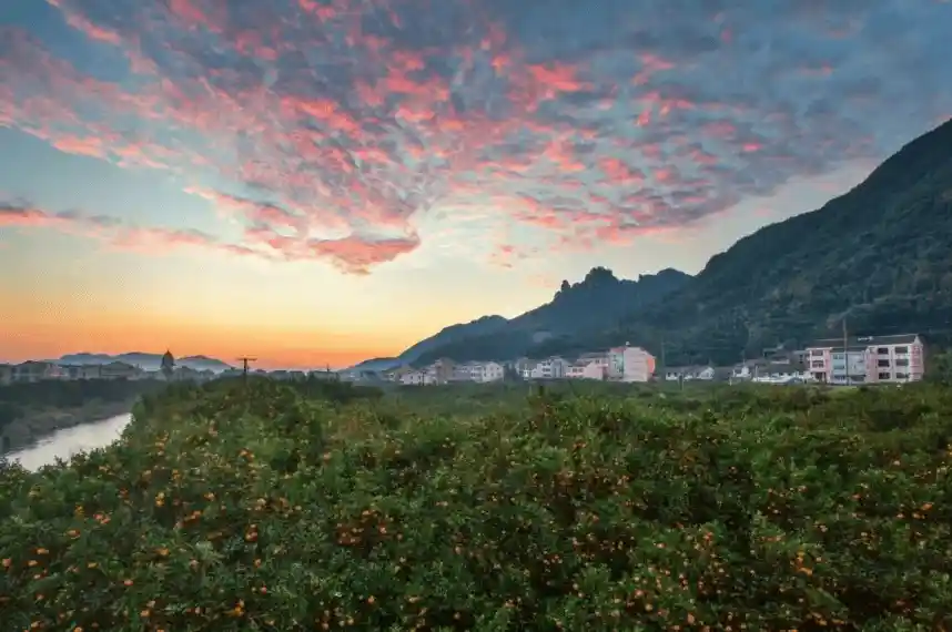 江南秋冬游新玩法,浙江推出20条康养文旅精品线路