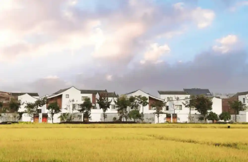 江南秋冬游新玩法,浙江推出20条康养文旅精品线路