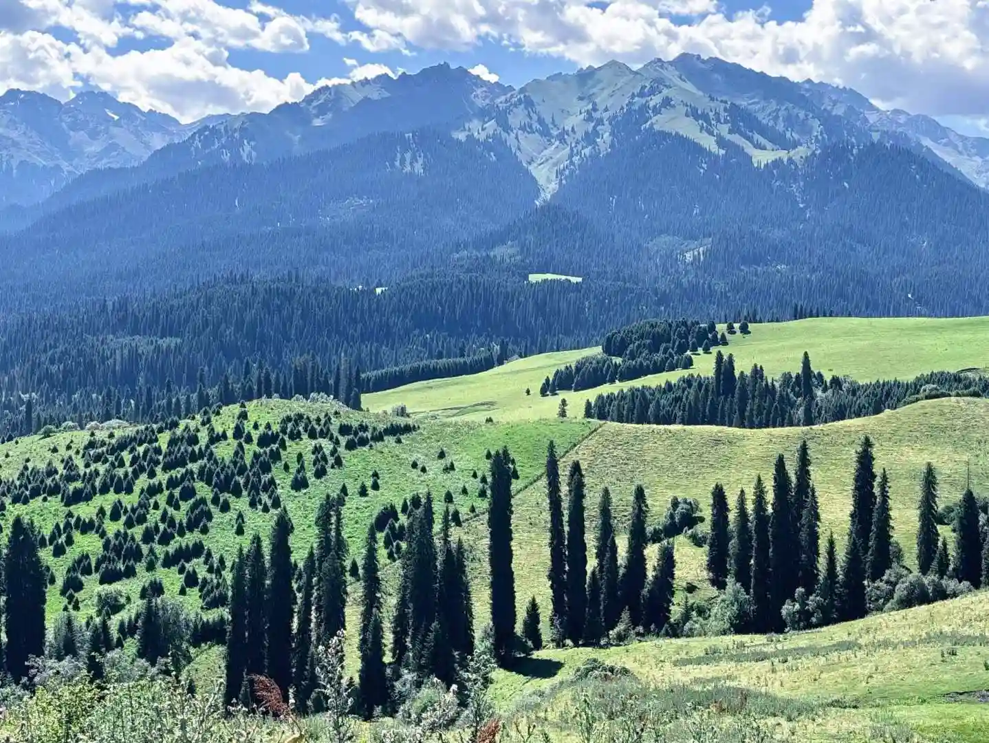 布尔津:隐藏在北疆的旅行枢纽,本地人揭秘喀纳斯与禾木的真正玩法