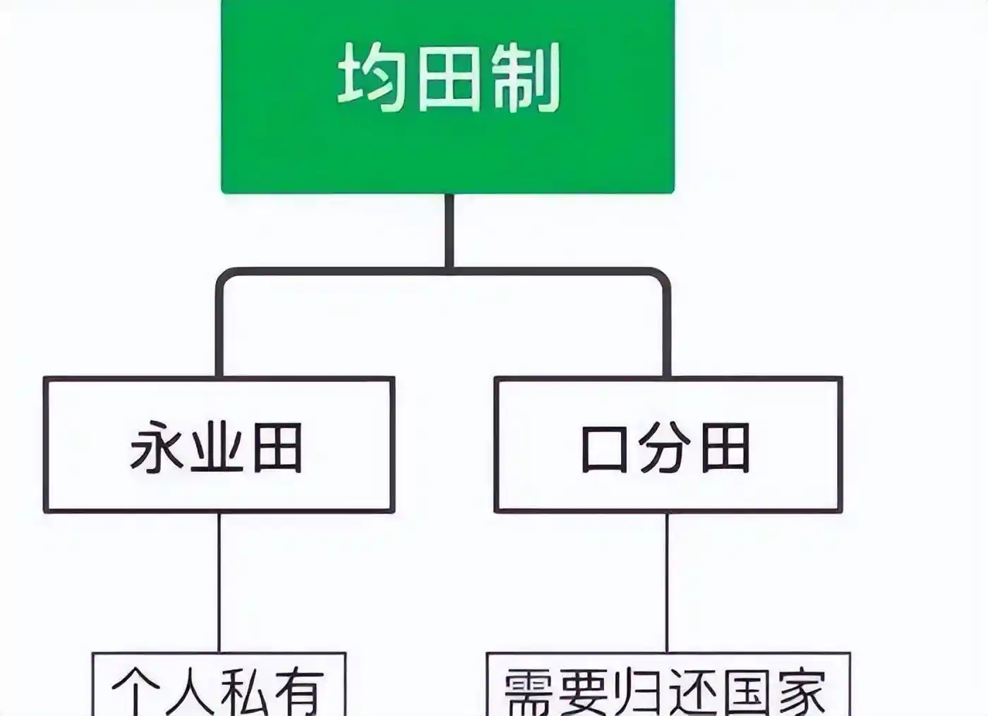 均田制背后的秘密：为何古代智者未选择土地公有制？