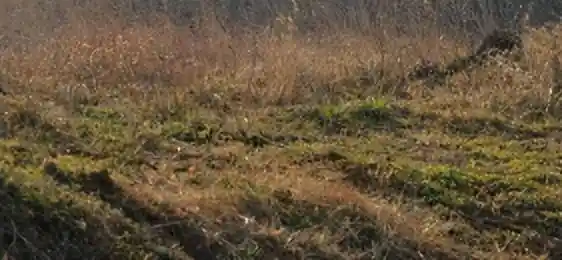 均田制背后的秘密：为何古代智者从未想到土地公有化？