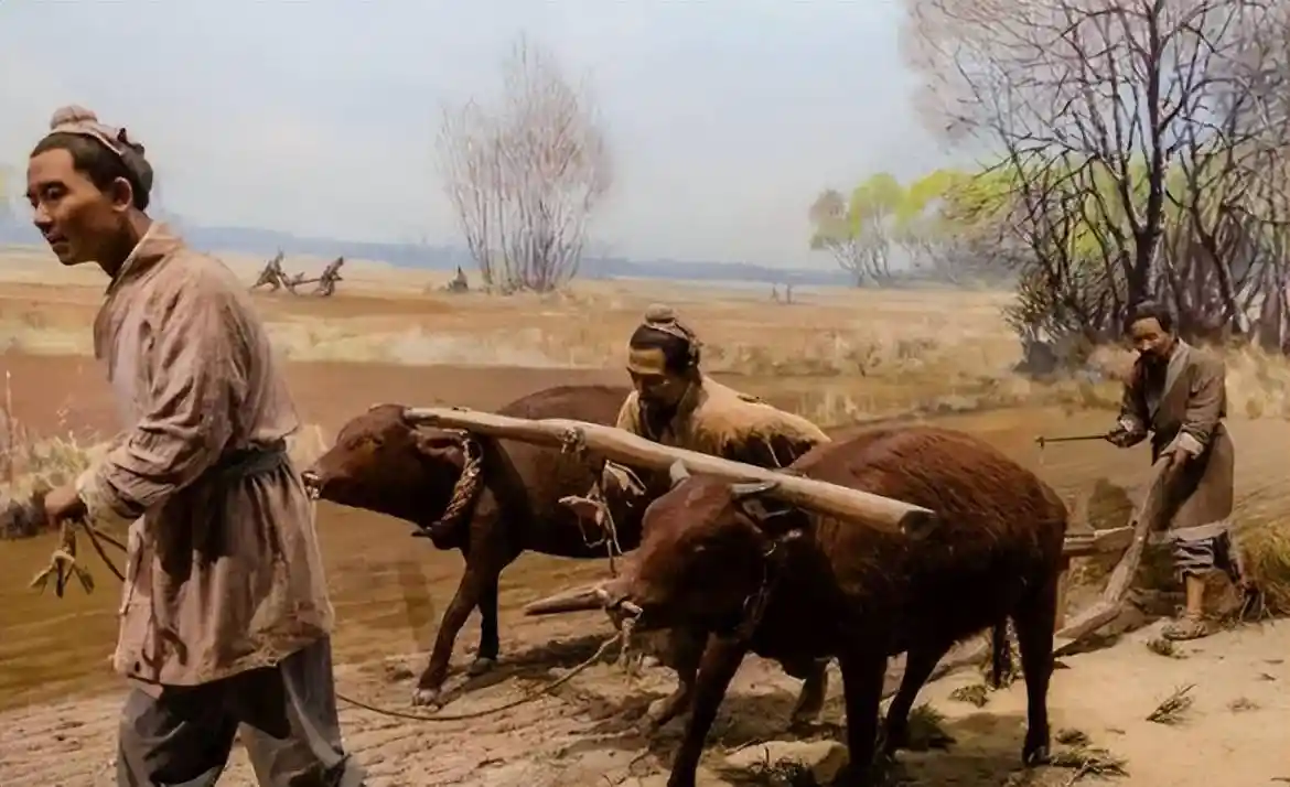 均田制背后的秘密：为何古代智者从未想到土地公有化？