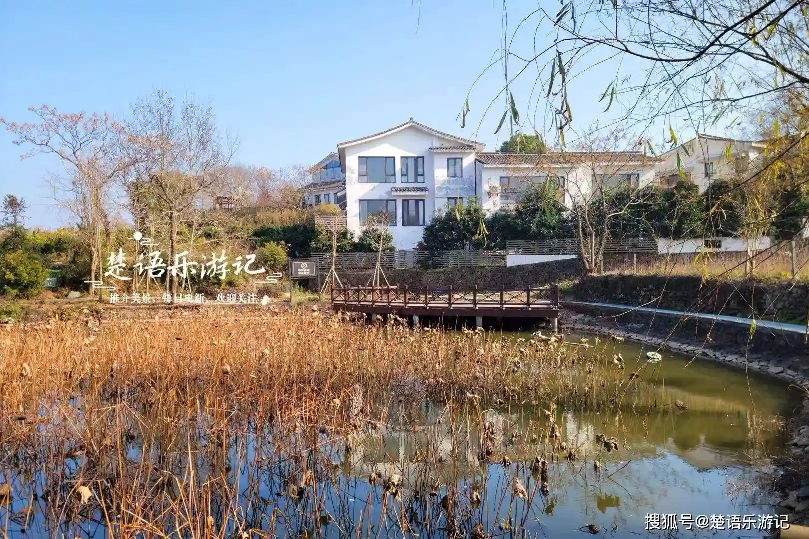 浙江宁波隐藏的秋日秘境，网红乡村美得让人心动