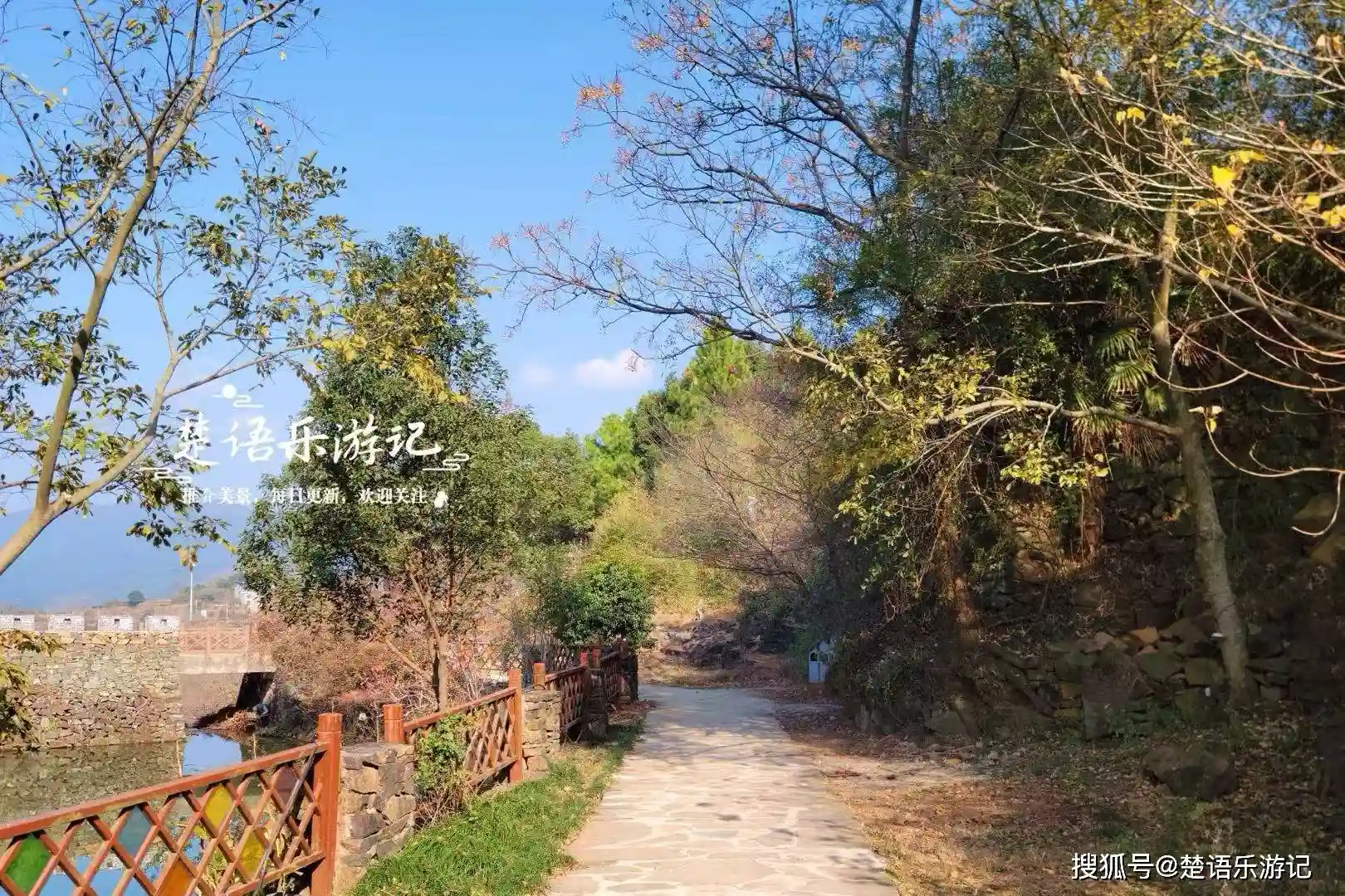 浙江宁波隐藏的秋日秘境，网红乡村美得让人心动