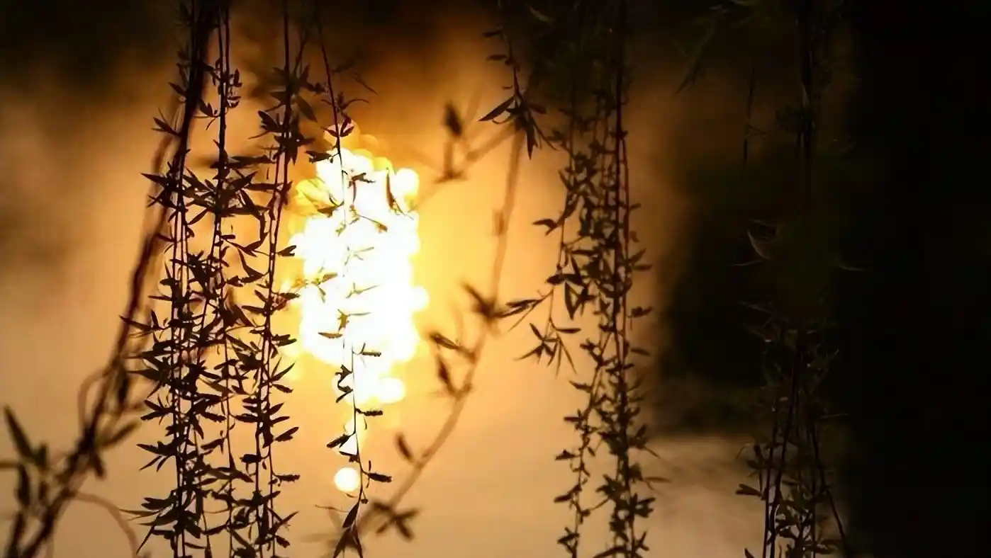 柳絮暴击朋友圈！11首封神级飞絮诗词刷屏：情似游丝，人如雪刃，美到窒息