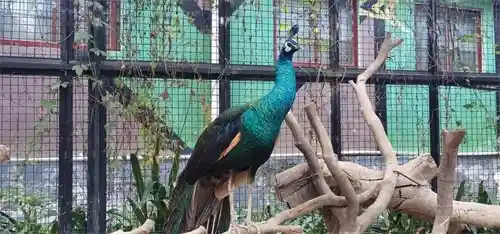 100个甘肃必去景点大揭秘：选对这些，不虚此行！