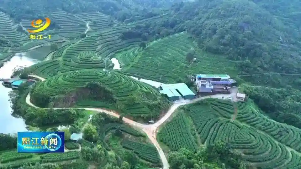 滨海秘境：广东一县城藏着这些文旅新惊喜