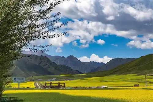 100个甘肃必去景点大揭秘：你最想打卡哪一个？