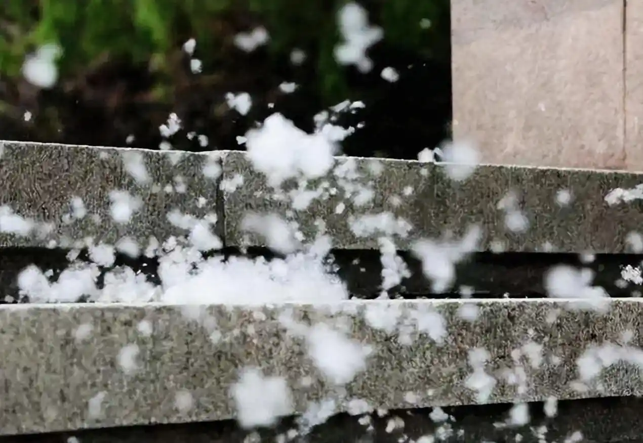 柳絮纷飞处,11首诗词写尽人间情思与飘零之美