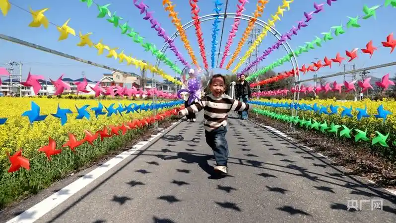 油菜花海醉游人 湖口万亩花田迎客来