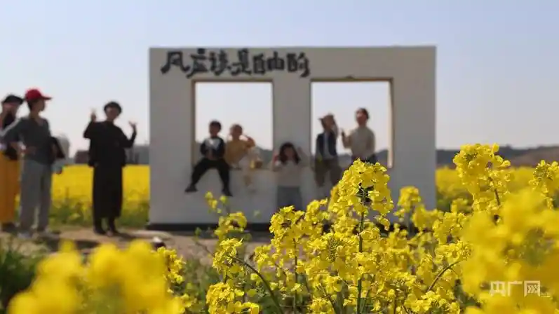 油菜花海醉游人 湖口万亩花田迎客来