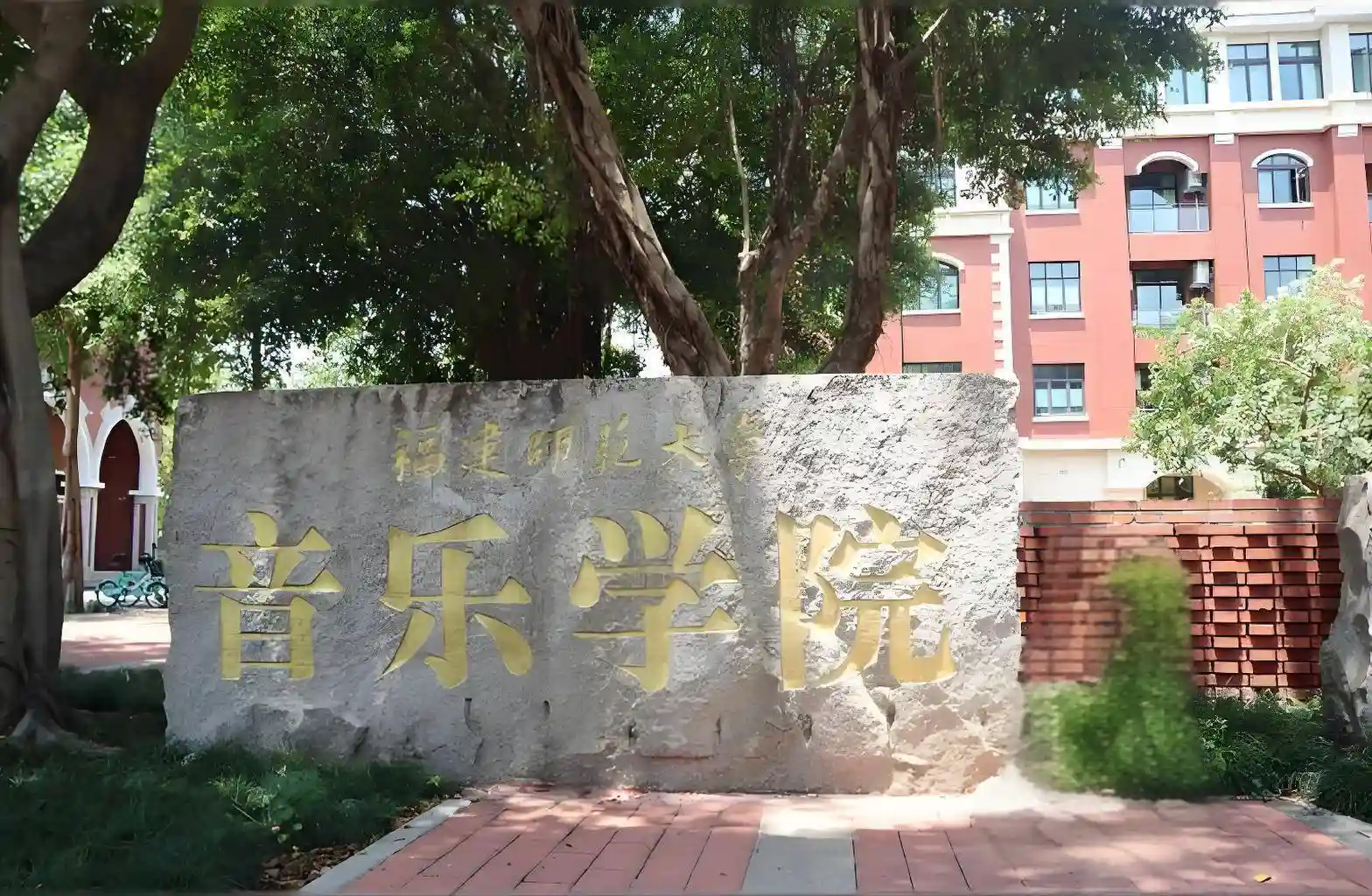 马秋华：4年未忘丈夫遗愿，深情坚守背后的故事