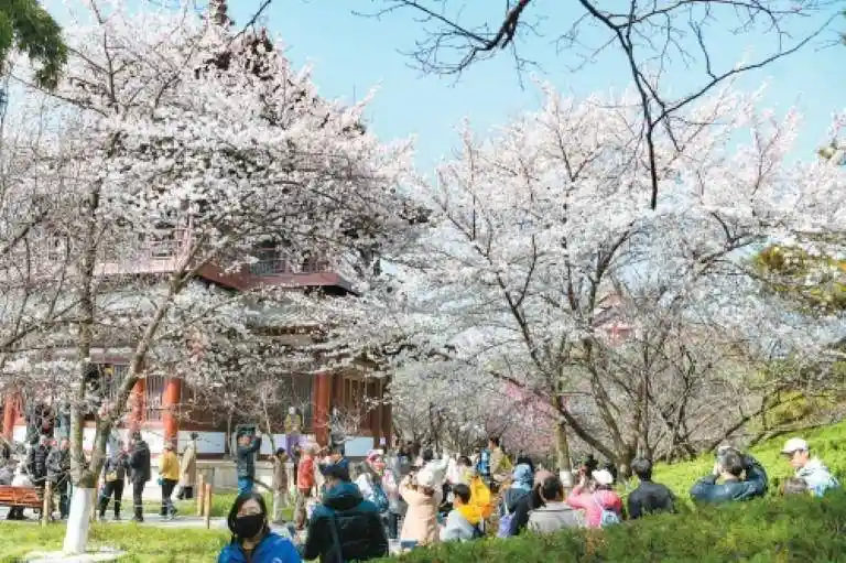 西安春日经济燃动消费新热潮