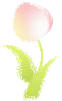 流苏漫雪映初心 桑岭村绘就乡村振兴新画卷