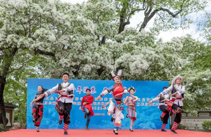 流苏漫雪映初心 桑岭村绘就乡村振兴新画卷