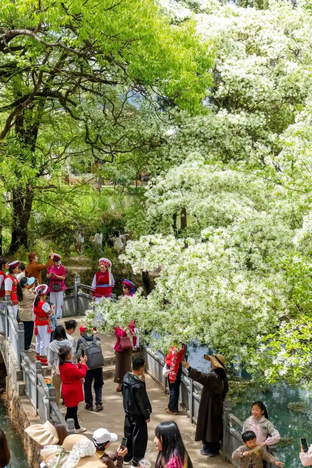 流苏漫雪映初心 桑岭村绘就乡村振兴新画卷