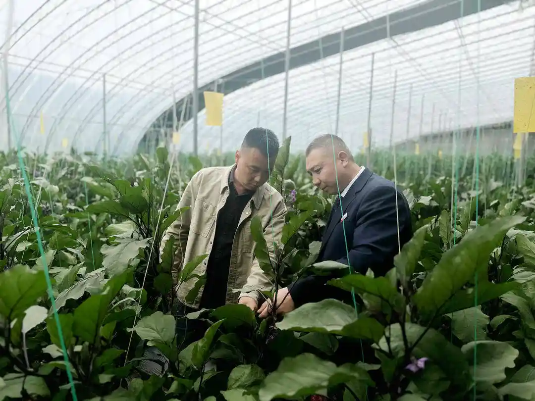 济南农商银行赋能文旅产业，景区乡村旅游焕新颜