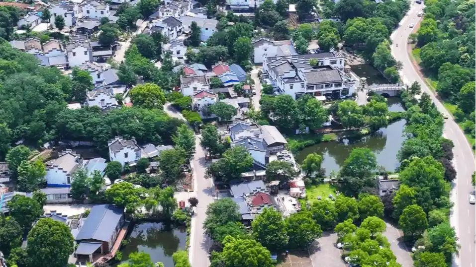 场景创新破题 乡村游焕新颜——江宁探索差异化发展新路径