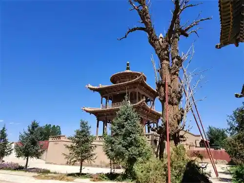 甘肃100景大揭秘！这份西北宝藏地图火了，旅行达人连夜收藏