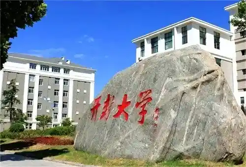 开封大学→成都大学:一场跨越十年的专科逆袭风暴,他们如何撕掉学历标签?